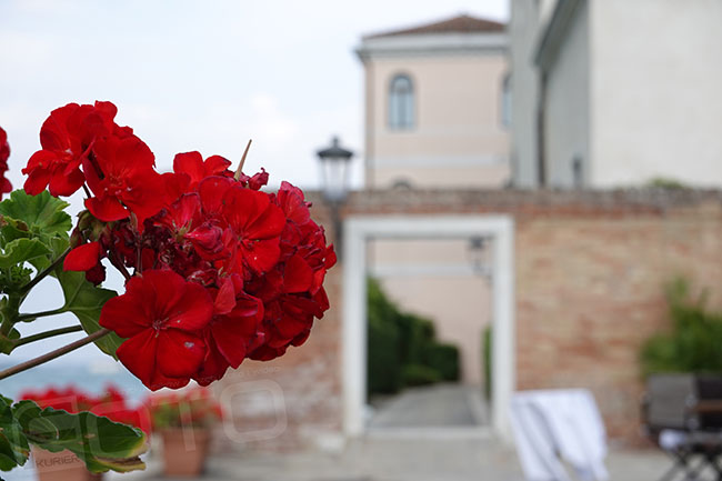 Sony RX100 VI - zdjcia testowe do pobrania!