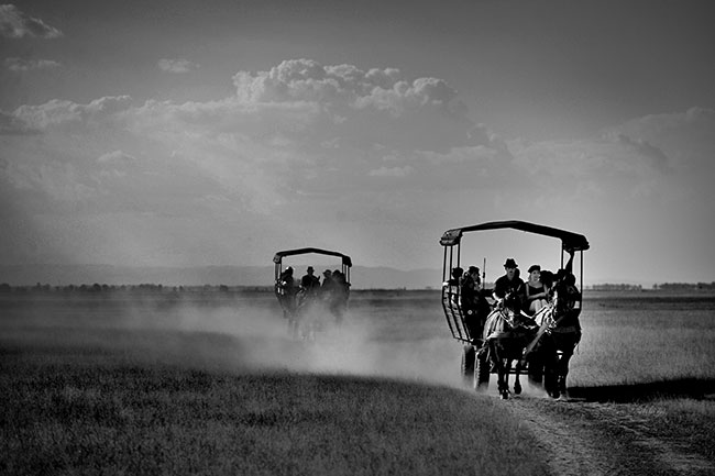 Hungarian rapsody IV – Dr Dariusz Hankiewicz (Radzy Podlaski) – Honorowe Wyrónienie PhotoArtMedica