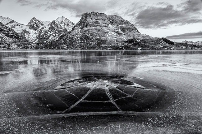 Web of ice – Prof. Paul Byrne (Irlandia) - Honorowe Wyrónienie PhotoArtMedica