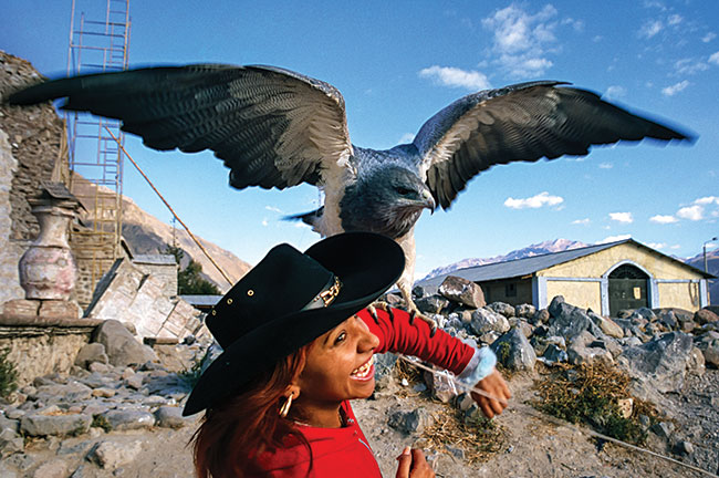 Drobna, peruwiaska artystka muzyki pop Milushka Martines bawi si z potnym drapienikiem na uwizi w Kanionie Colca w poudniowym Peru. Kanion odkryty dla turystyki przez Polaków sta si dzi mekk dla podrónych odwiedzajcych kraj Inków.  Canon EOS 5 + Canon 16–35 mm f/2,8, film Fujichrome Velvia ISO 50.