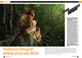 Najlepszy fotograf dzikiej przyrody 2018