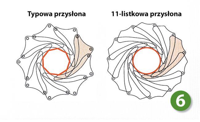 11 listków przysona koowa