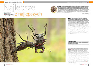 Najlepsze z najlepszych - czerwiec