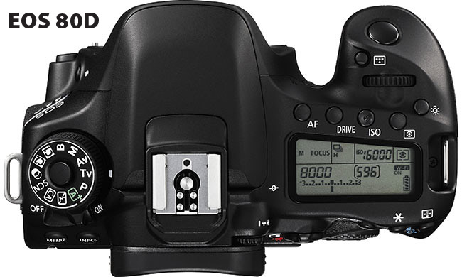 TEST: Canon EOS 90D - następca najlepszej lustrzanki, czyli król rozdzielczości wśród matryc APS-C - artykuł z FK 10/19