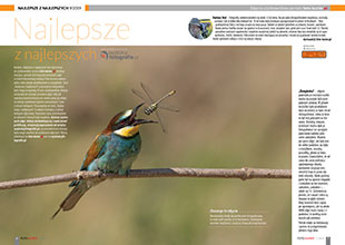 Najlepsze z najlepszych - wrzesień