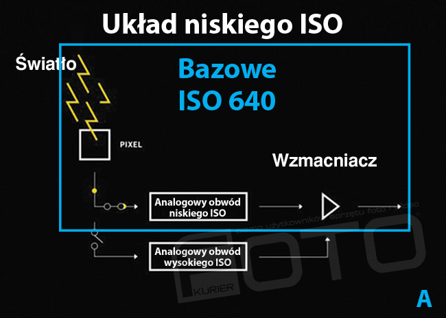 Nowo opracowany penoklatkowy sensor CMOS 24,2 miliona pikseli aparatu Lumix S1H korzysta z technologii Dual Native ISO. Czujnik obrazu moe wykorzystywa dwuzakresowe ustawienie ISO, co umoliwia zminimalizowanie powstawanie zakóce i zapewnia doskona jako obrazu od niskiej do wysokiej czuoci ISO. Ta funkcja wraz z procesorem Venus Engine zapewnia maksymalne ISO 51 200 / rozszerzone do ISO 204 800 w celu uzyskania minimalnego poziomu szumów przy wysokiej czuoci i piknego odwzorowania ciemnych obszarów w kadrze. Ponadto filtr niskoprzepustowy skutecznie ogranicza efekt mory. 