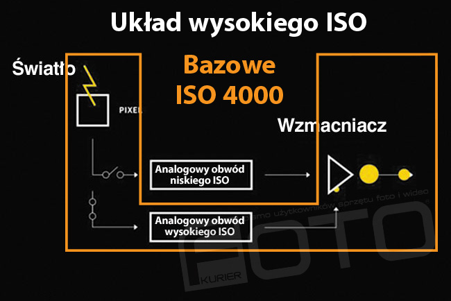 Nowo opracowany penoklatkowy sensor CMOS 24,2 miliona pikseli aparatu Lumix S1H korzysta z technologii Dual Native ISO. Czujnik obrazu moe wykorzystywa dwuzakresowe ustawienie ISO, co umoliwia zminimalizowanie powstawanie zakóce i zapewnia doskona jako obrazu od niskiej do wysokiej czuoci ISO. Ta funkcja wraz z procesorem Venus Engine zapewnia maksymalne ISO 51 200 / rozszerzone do ISO 204 800 w celu uzyskania minimalnego poziomu szumów przy wysokiej czuoci i piknego odwzorowania ciemnych obszarów w kadrze. Ponadto filtr niskoprzepustowy skutecznie ogranicza efekt mory. 