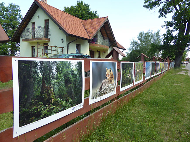 Ju dwa Wojnowskie Festiwale Fotografii za nami...