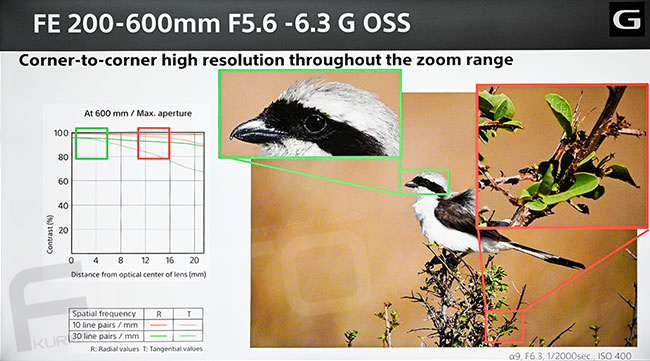 Sony 200-600 mm f/5,6-6,3  G OSS