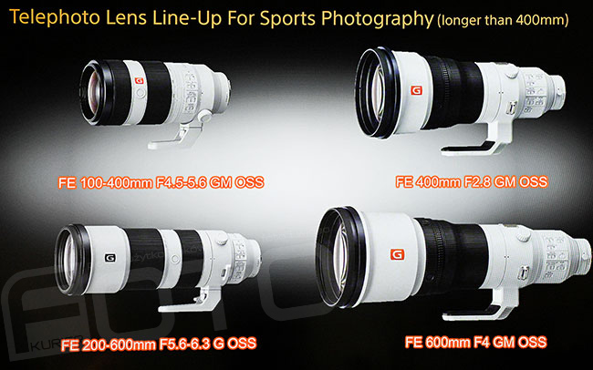 Sony 200-600 mm f/5,6-6,3  G OSS