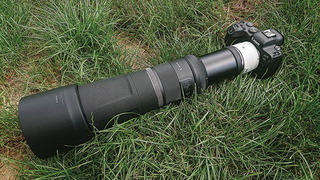 Lekkie super-teleobiektywy Canona: RF 600 mm f/11 i RF 800 mm f/11