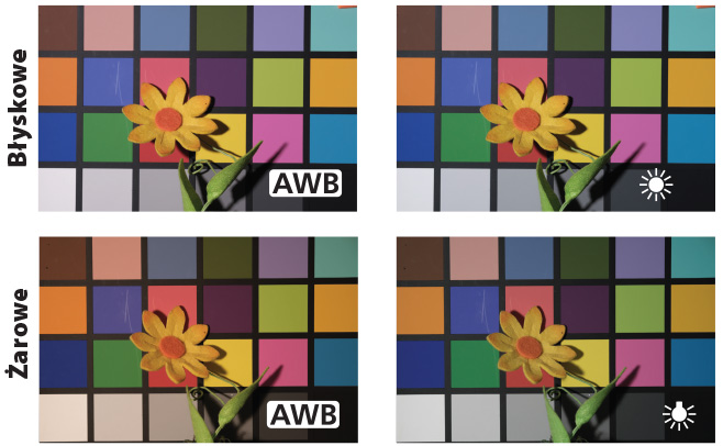 Balans bieli w testowanym modelu dobierany jest automatycznie (AWB) lub poprzez wybranie jednego z gotowych profili. Dodatkowo mona rcznie ustawi temperatur barwow.