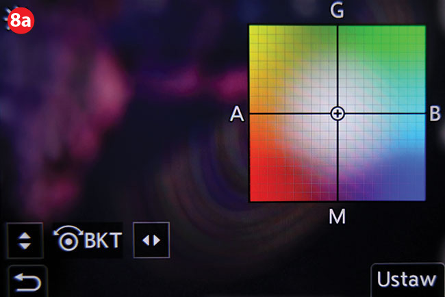 TEST Panasonic S5 - najmniejszy bezlusterkowiec w portfolio - artyku z Foto-Kuriera 11/20