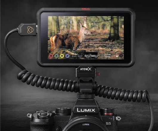 TEST Panasonic S5 - najmniejszy bezlusterkowiec w portfolio - artyku z Foto-Kuriera 11/20