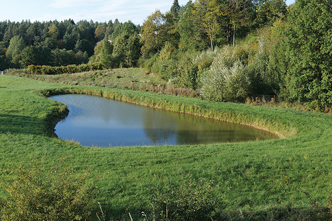 Sercowy staw, okolice mostu w Staczykach. Panasonic S5 + 16-35 mm f/4; par. eksp.: 1/1250 s; ISO 400; f/4; f=35 mm; fot. K. Patrycy