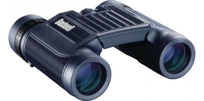 Bushnell H20 10&times;25 Roof