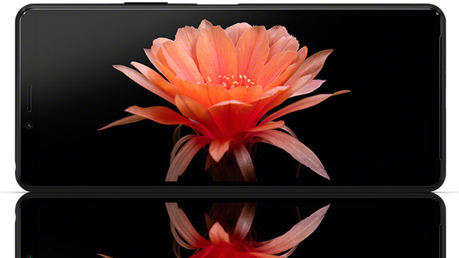 Sony Xperia 10 II: wodoodporny smarfon z nowym aparatem