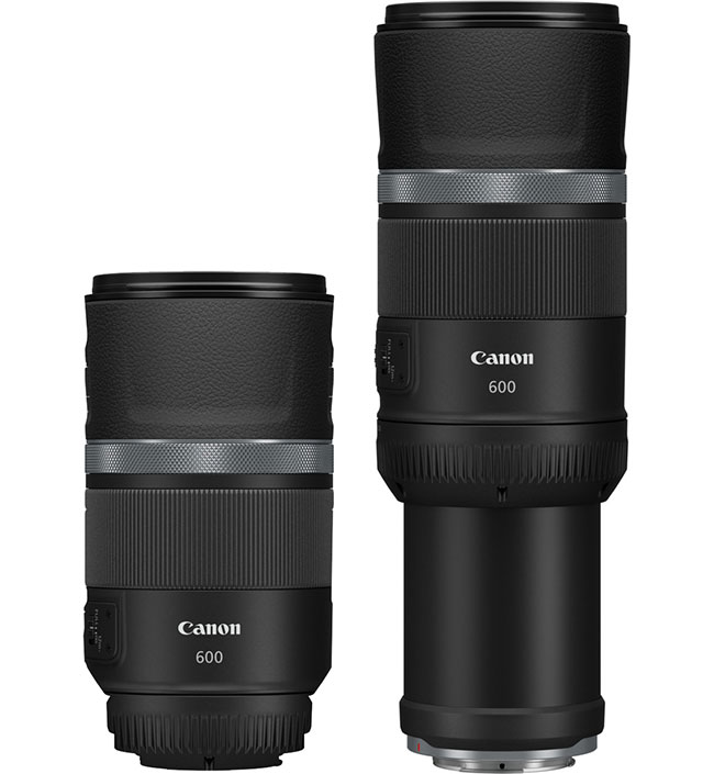 Canon RF 600 mm f/11 i Canon RF 800 mm f/11 IS STM – lekkie super-teleobiektywy