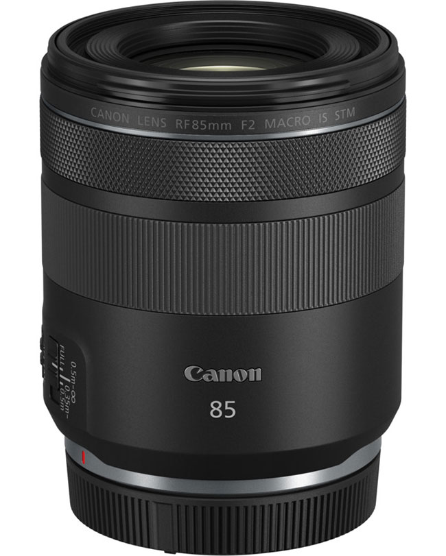 Canon RF 85 mm f/2 MACRO IS STM – portrecista idealny