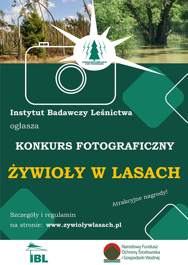 Konkurs fotograficzny „Cztery ywioy w lasach”