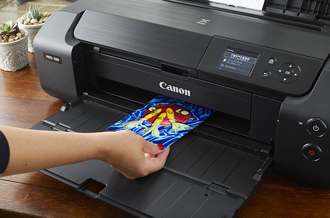 Canon PIXMA PRO-200 - wszechstronna drukarka fotograficzna A3+