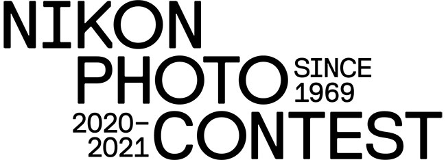 Powrót Nikon Photo Contest 2020-2021