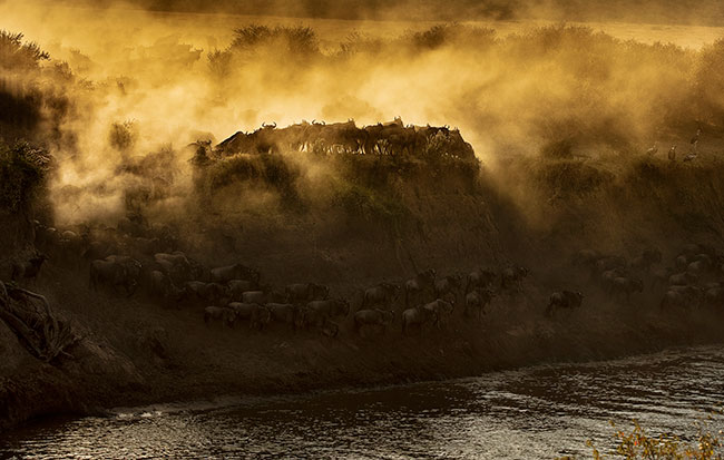 © Commercial and wildlife photographer, and Canon Ambassador, Clement Kiragu