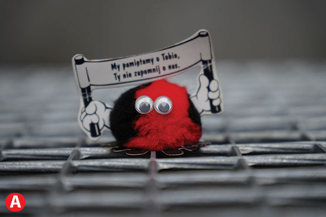 Tamrona 17–70 mm f/2,8 mona podczy równie do aparatu penoklatkowego Sony. Wtedy automatycznie aparat przecza si w tryb crop [A]. Rozmiar pliku w przypadku Sony A7 III ma wtedy 2952 × 4000 pikseli. Mona wyczy t funkcj i wtedy obiektyw bdzie pracowa penym polem obrazowym pozostawiajc zacienione rogi [B] (rozmiar pliku 4000 × 6000 pikseli). Z takiego pliku mona wykadrowa np. pionowy kadr [C] który bdzie mia 3936 × 2624 piksele, co daje wymiary 22 × 33 cm przy 300 dpi. fot. K. Patrycy