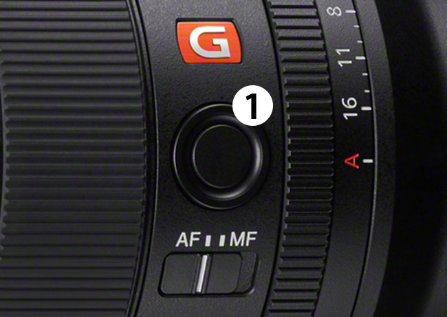 Sony G-Master 35 mm f/1,4 - bezkompromisowa ostro i elegancki bokeh, pierwsze zdjcia testowe