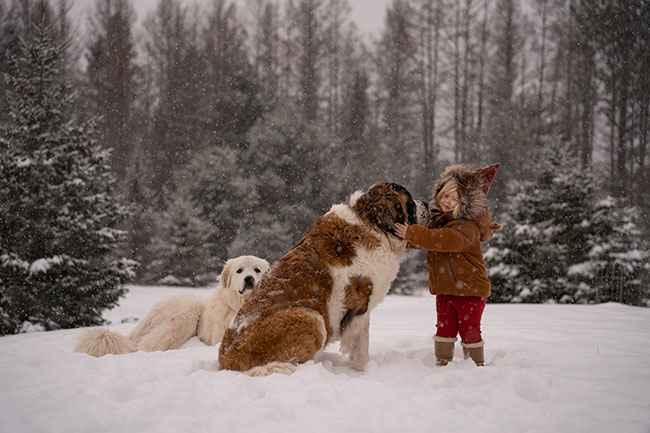 f/2,8; 1/320 s; ISO 100; f=70 mm; fot. Meg Loeks