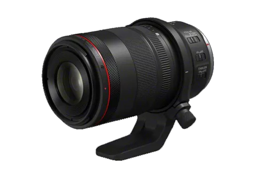 Canon RF 100 mm f/2,8L MACRO IS USM – stworzony do makrofotografii i portretów