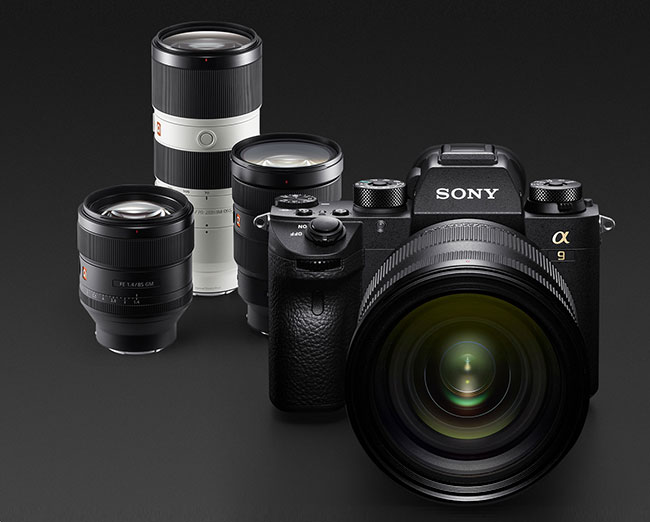 Sony Imaging PRO Support ju w Polsce