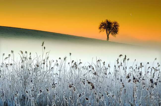 „Zimowa baśń”, fot. Wojciech Lisiński