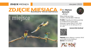 Zdjcie miesica sierpie 2022