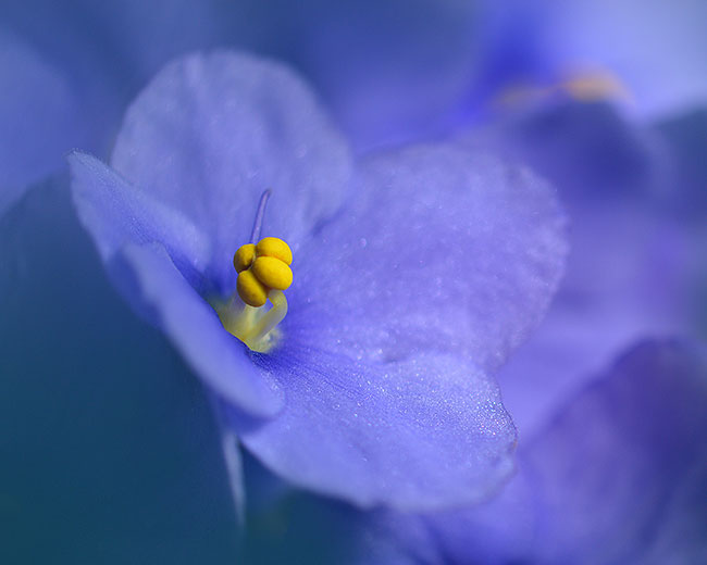 fot. Donata Siedlewska