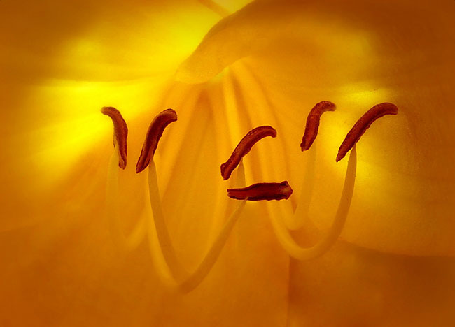 fot. Katarzyna Korzeniak