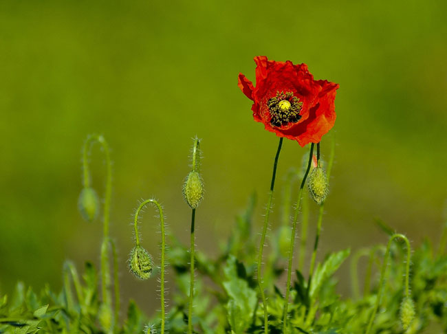 fot. Tomek Malkowski