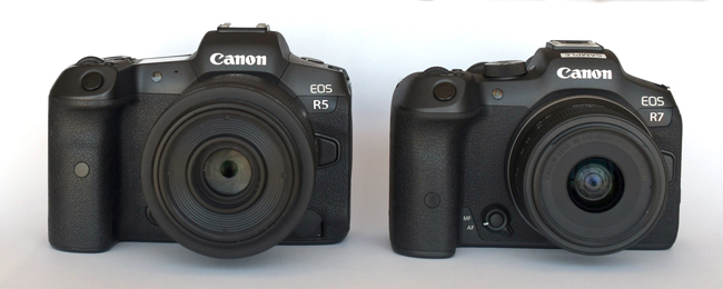 Canon EOS R5 vs Canon EOS R7