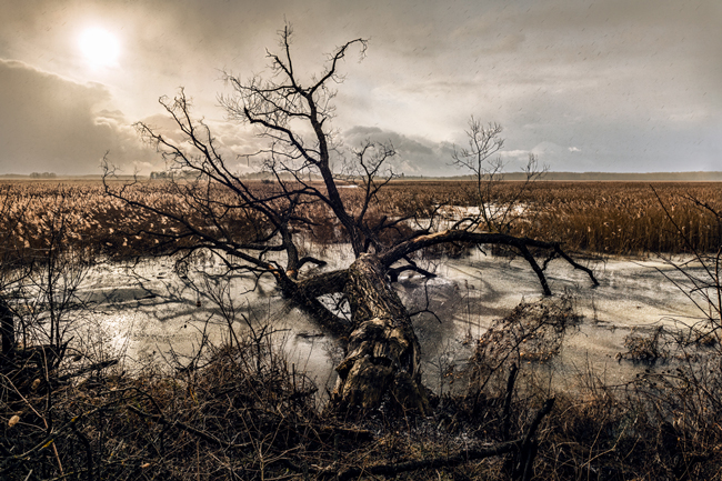 „Upady olbrzym”, fot. Jakub Jaroszewicz