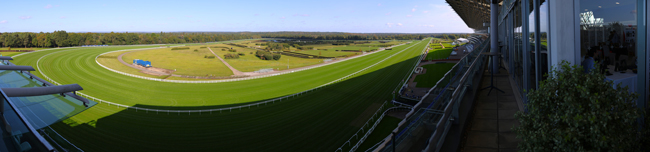 Ascot, tor wycigów konnych - funkcja panoramy