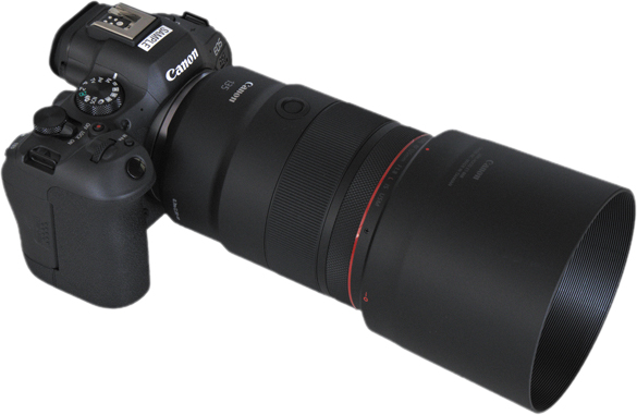 Canon EOS RF z oson 