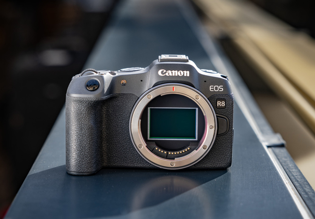 Canon EOS R8 