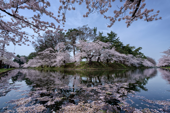 Sigma 14 mm f/1,4 DG DN | Art fot. Kagaya