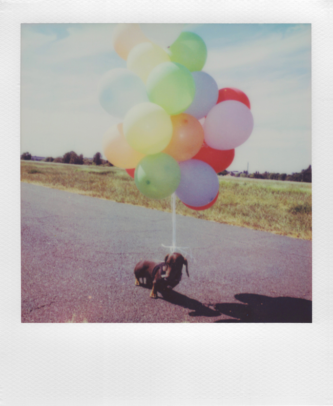 Polaroid I-2 sample 2 Polaroid I-2 sample 2