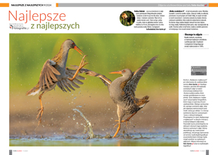 Najlepsze z Najlepszych Wrzesie 2024