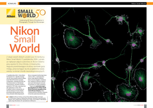 Nikon Small World 2024