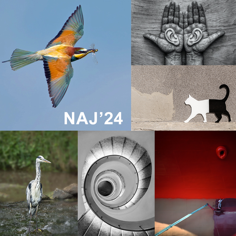 Naj_2024