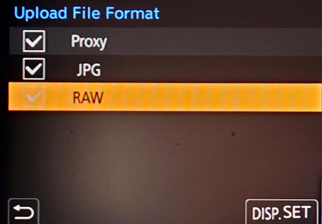 Proxy file Panasonic s5IIX