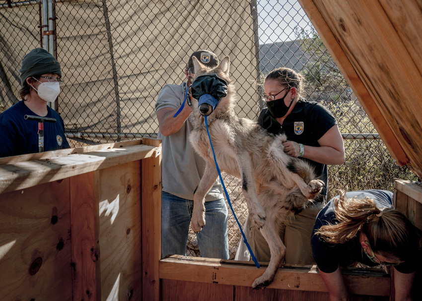 © Kathleen Orlinsky, United States, Winner, Sustainability Prize, Professional competition, Wildlife & Nature, Sony World Photography Awards 2024