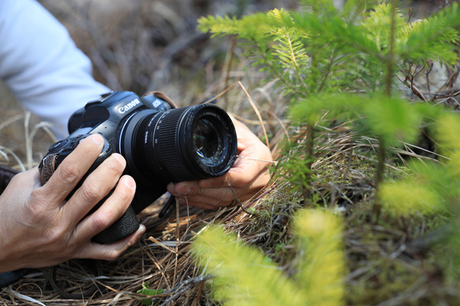 Fot. Taichi Kozawa RF 18-50 mm